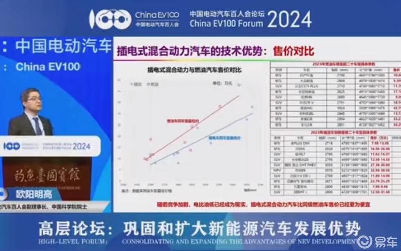 2024年新能源车牌价格明细表(2024年新能源车牌价格全解析)