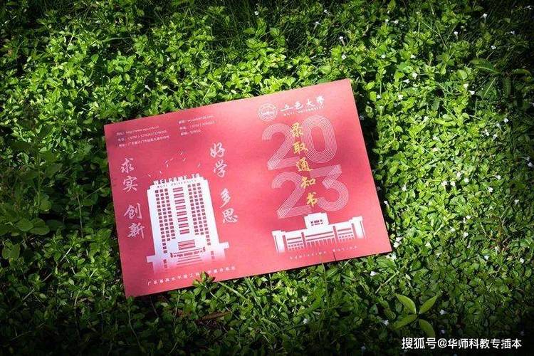 2024年北京租车牌号一年多少钱呀？(2024北京租车牌号年费大揭秘！)