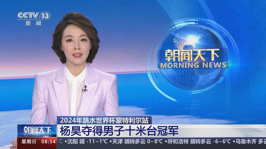 2024北京车牌照1年多少钱(2024北京车牌1年费用大揭秘！)