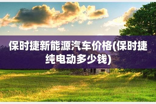 2024电动车牌转让多少钱(2024电动车牌转让，超值价格，不容错过！)