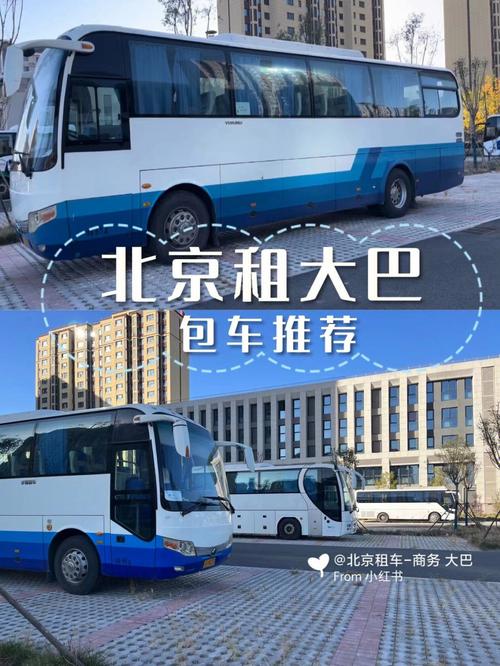 2024北京租车牌照需要多少钱(2024年北京租车牌照费用大概是多少？)